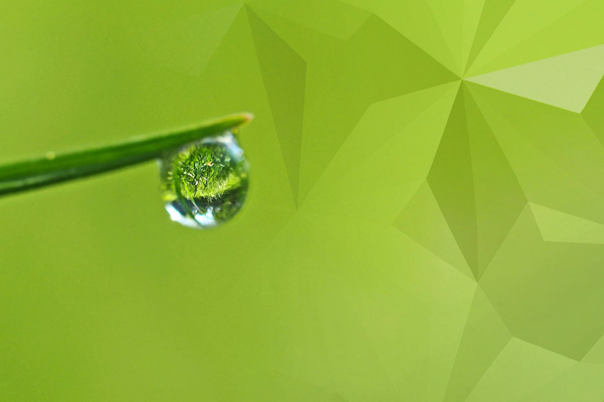 Why Choosing Organic and Natural Skincare Isn’t Just Better - It’s Essential