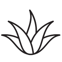 Aloe Juice