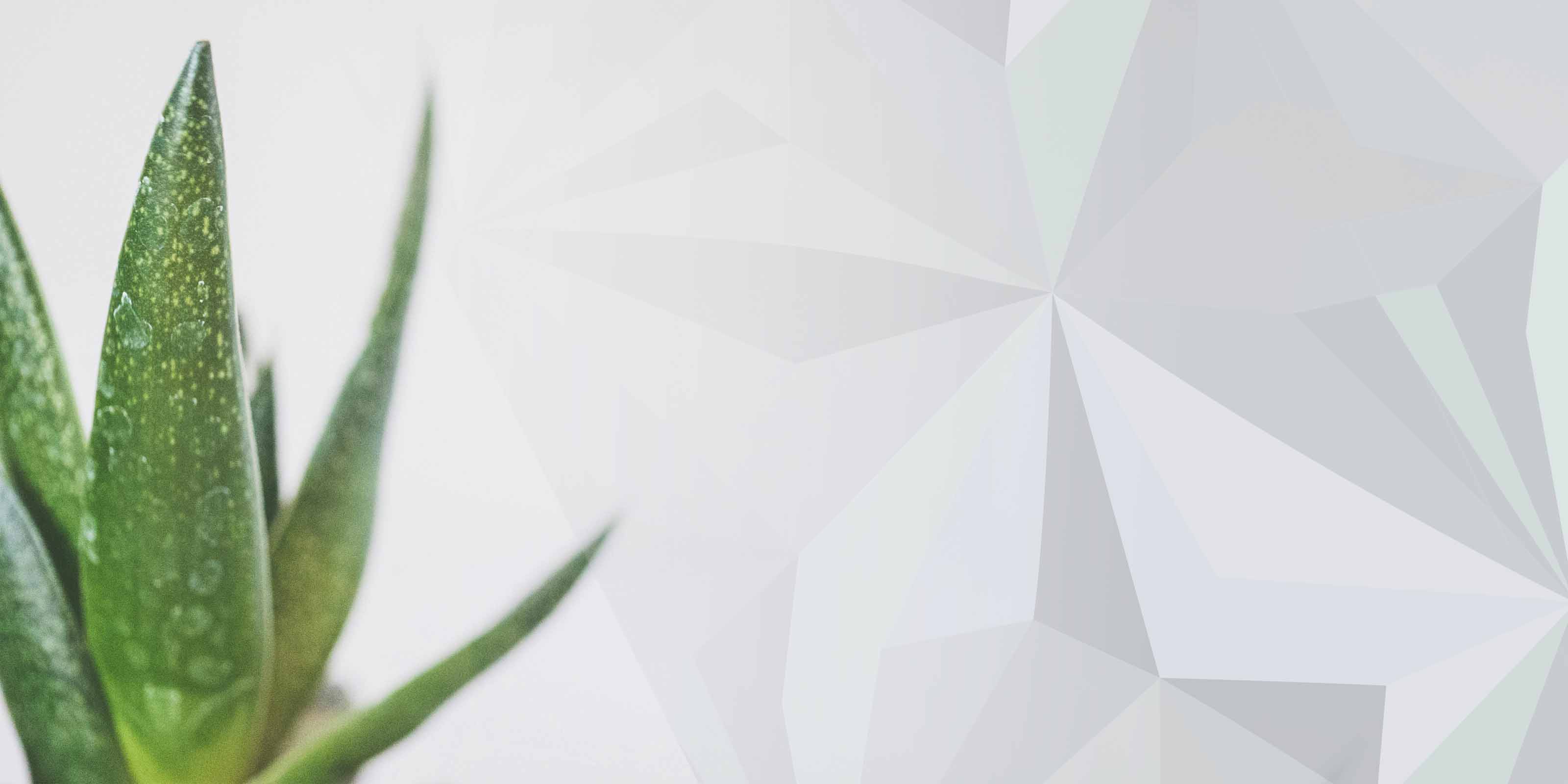 The Divisibl Certified Organic range with vegan, cruelty-free formulas made with certified organic ingredients