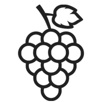 Grape Seed Extract