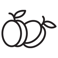 Plum Fruit Extract